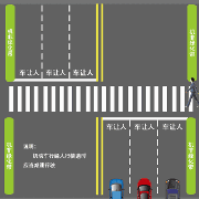 礼让行人   文明行车