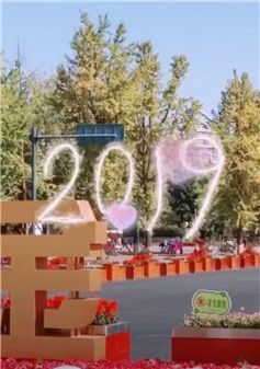 2019，你一定会一帆风顺