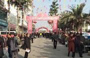 第16届温江兰花节暨兰花交易会开幕