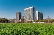 我区及时贯彻落实全省、全市森林草原防火灭火暨安全生产工作电视电话会议精神