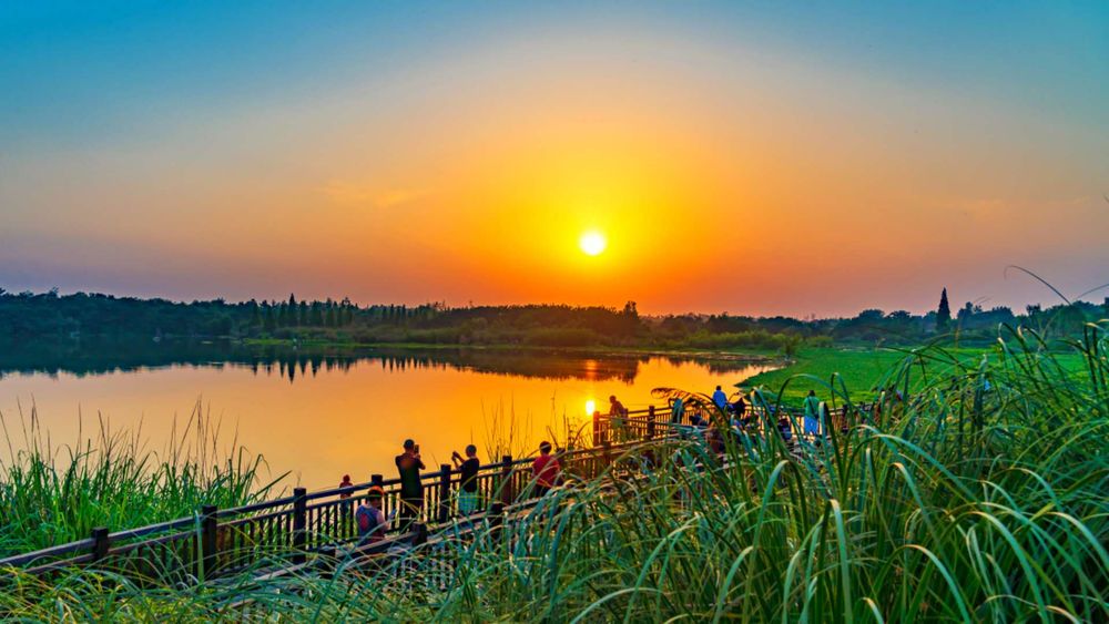 夕阳无限好，在鲁家滩的夕阳更有温江味儿~图@张志强。