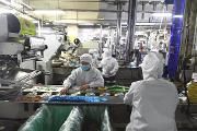 统筹兼顾疫情防控和生产经营 让市场“动起来、活起来” 吴凯来温督导调研疫情防控和经济发展工作时强调了这些重点