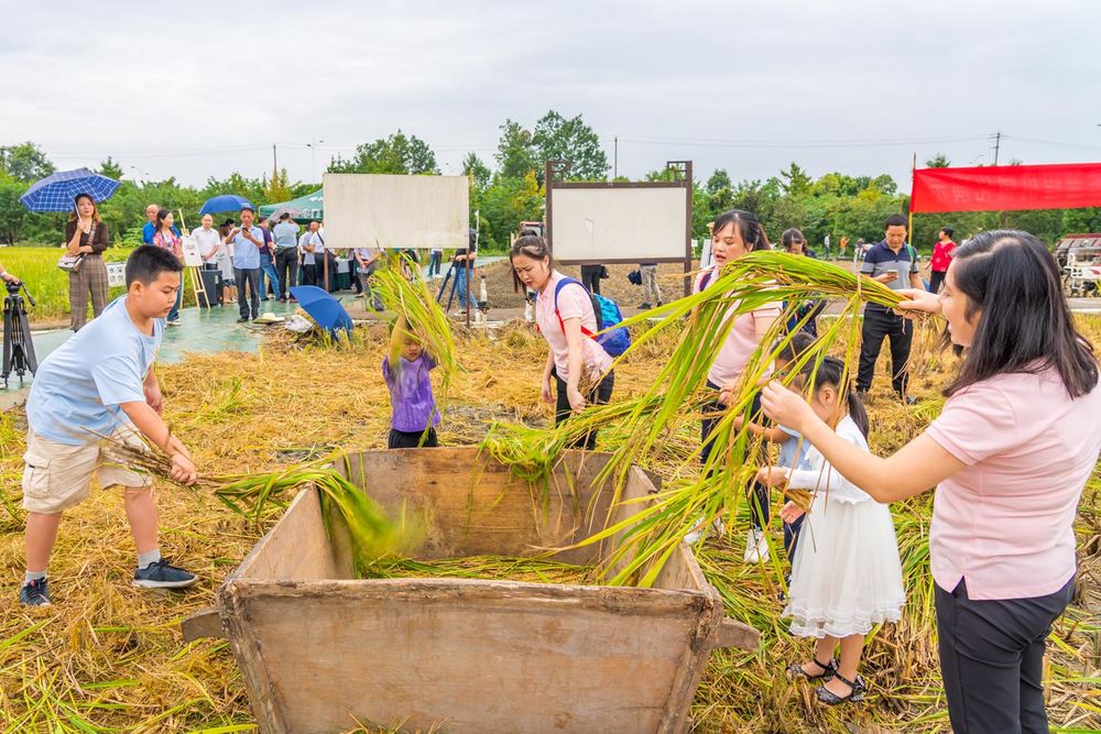 这群人在田里耍欢了！
