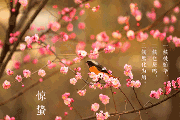 惊蛰天气还会冷吗？    