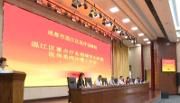 全区重点行业领域突出问题医保系统治理工作启动