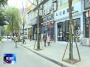 区综合行政执法局：开展春季柳树补植  提升城市绿化景观