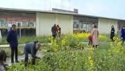 闲置空地变公益菜地  “美邻园耕”收获满满爱心