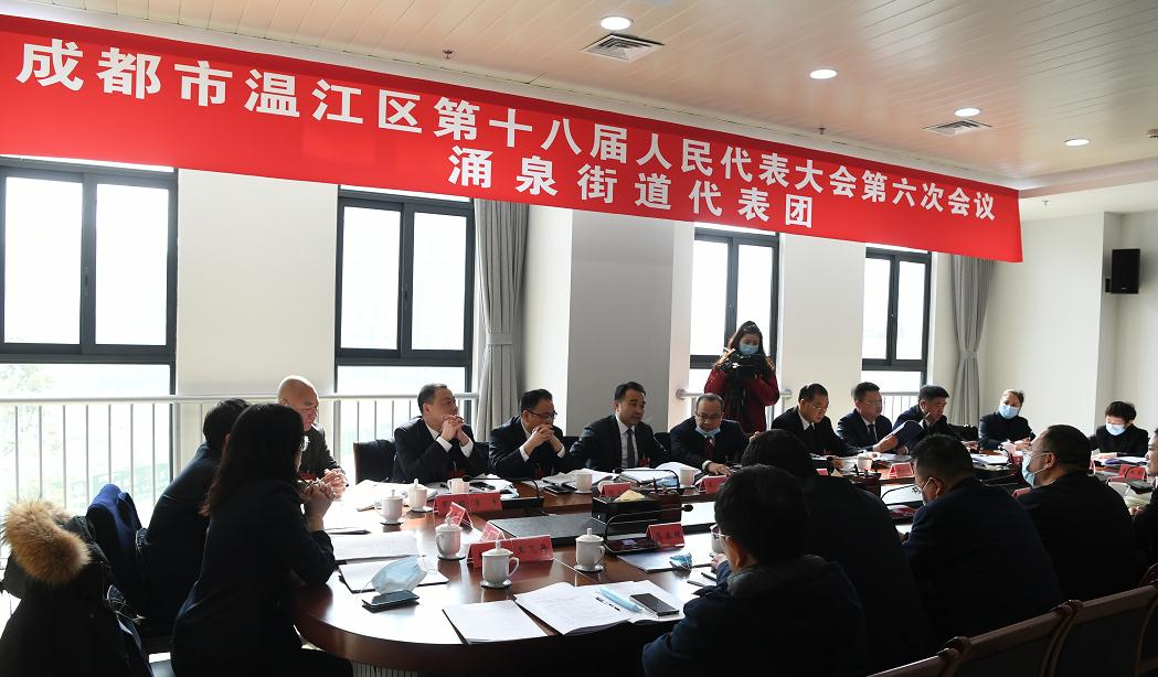 区十八届人大六次会议举行代表团会议