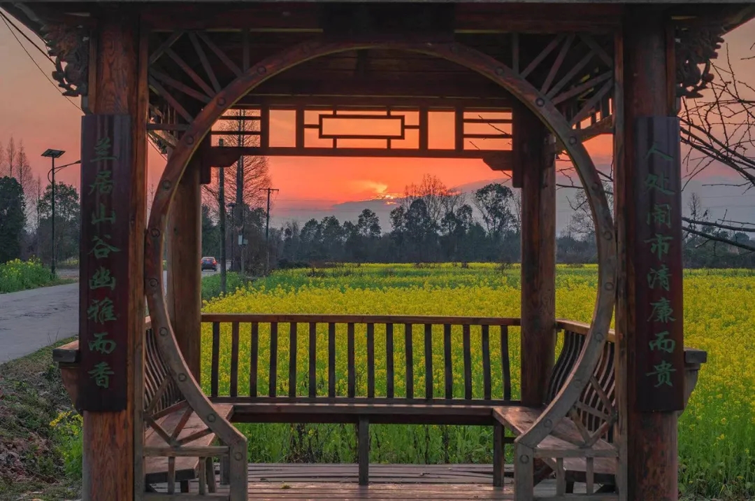 夕阳配菜花，美吗？