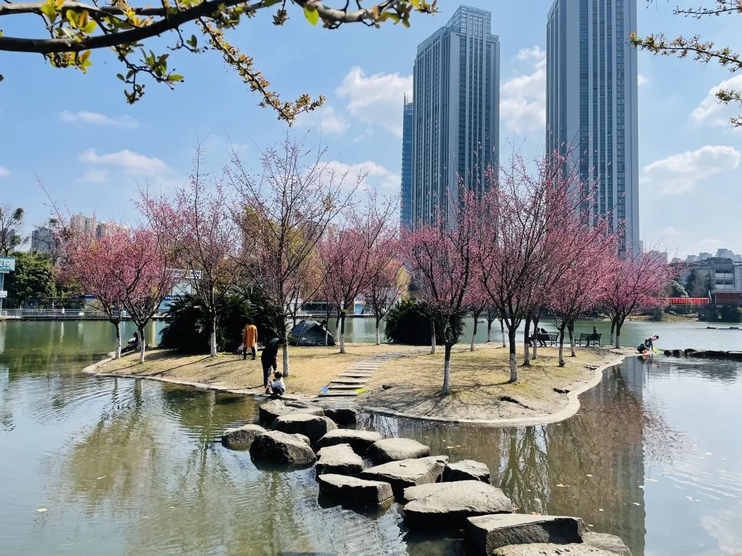 梅香四溢
