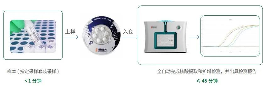 ac28e1b2-cd24-4f35-9b49-f18c9c9bbc29.jpg