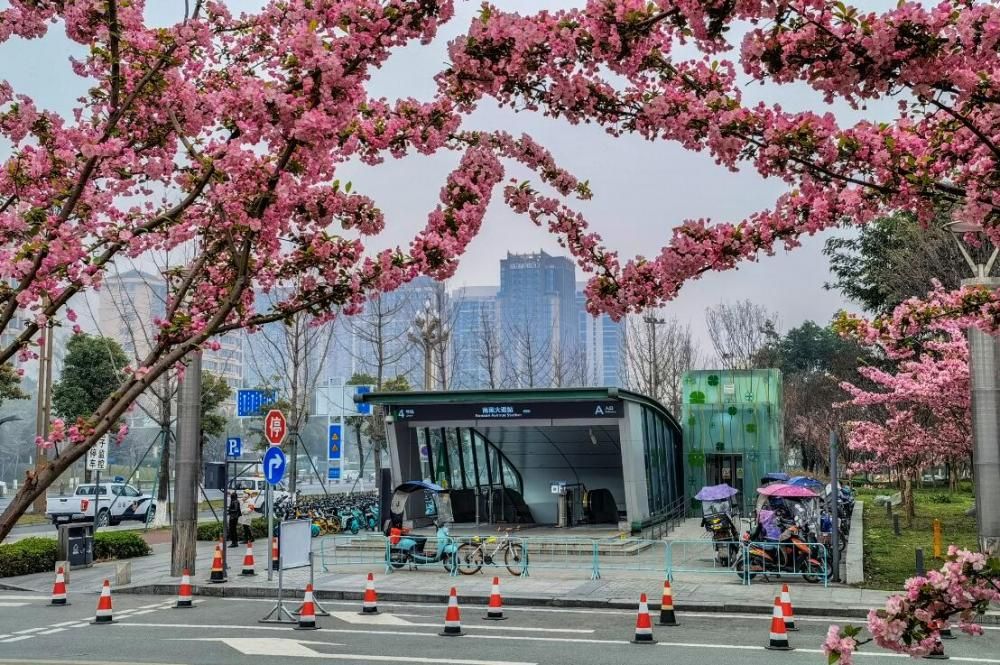 QQ截图20210308093657.jpg