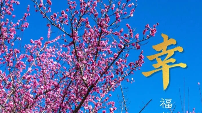 幸福在温江