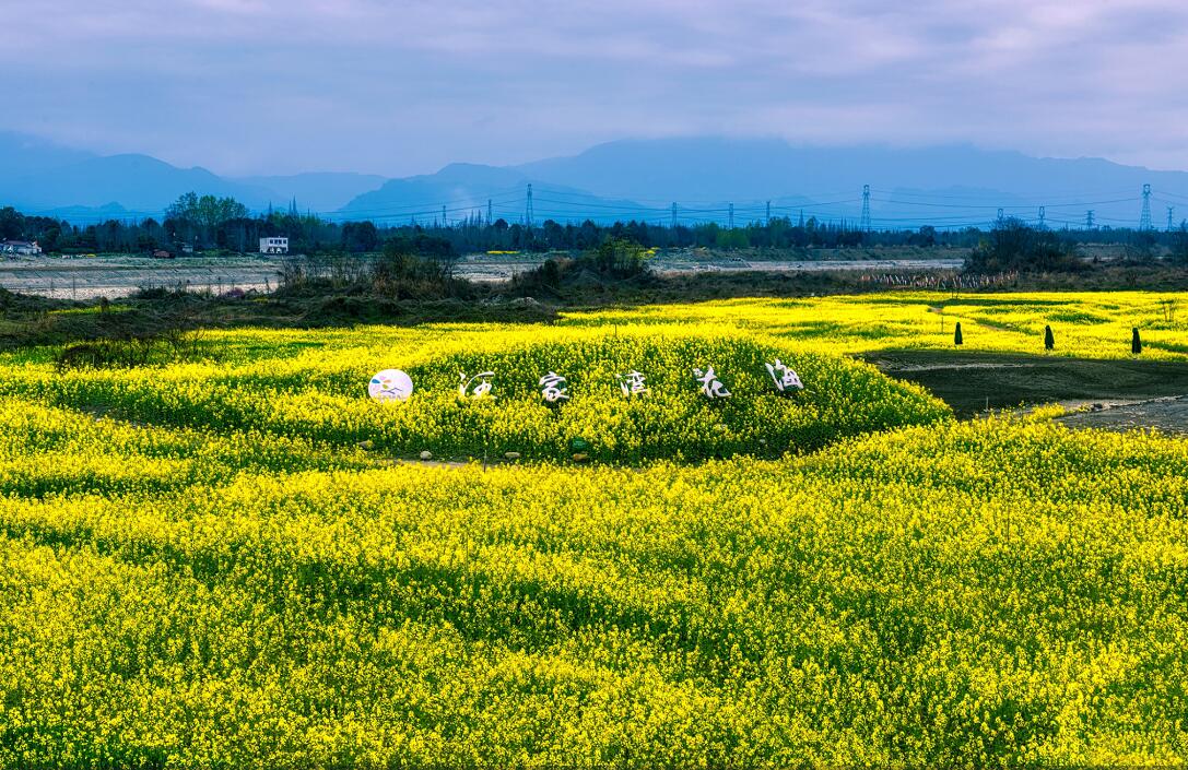 北林绿道汪家湾花海：昔日“烂河滩” 变身“网红地”