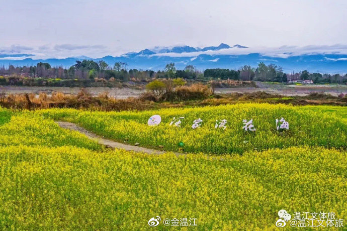 赏油菜花还能遥望雪山？这个神仙打卡地原来就在温江！