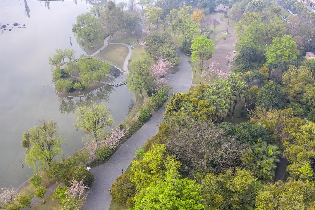 趁着春光明媚，春花正盛，去碧落湖打开吧。图by郭鉴。