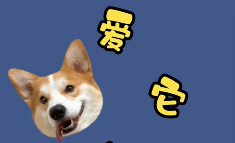 @汪星人 爱它就给它需要的～