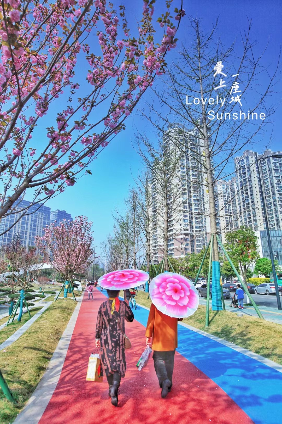 花伞配红花，别有趣味。图by阳光