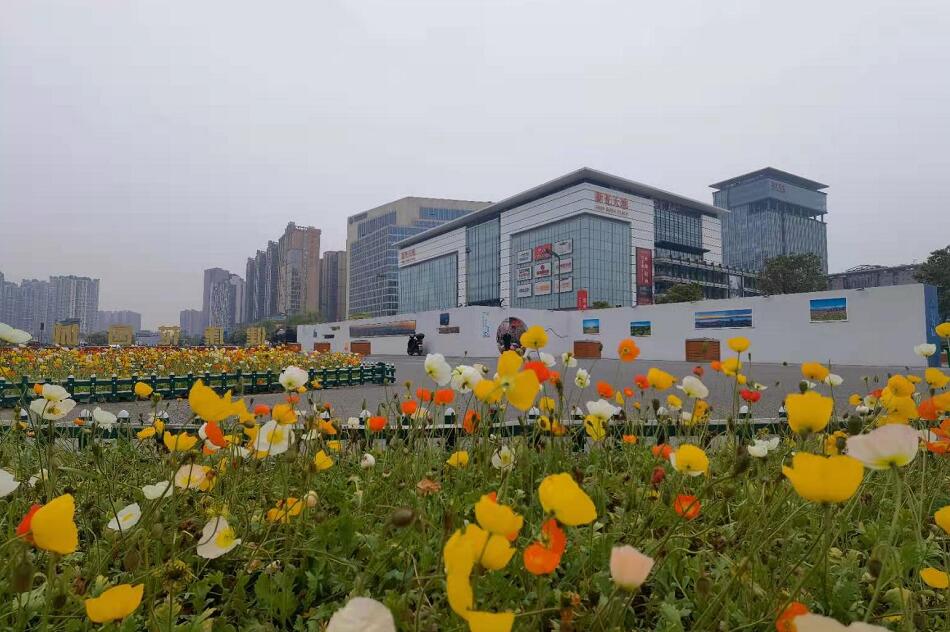 成都市“两纲”终期评估验收现场工作指导会在温召开