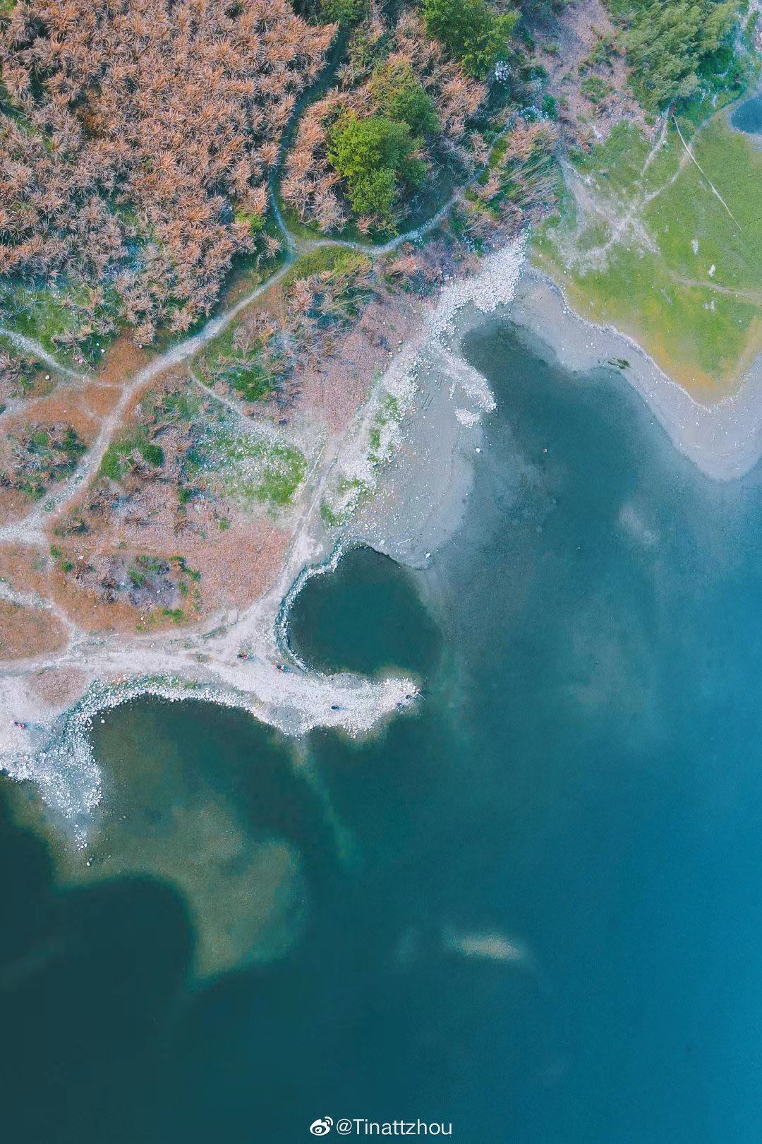 春日阳光下，成都温江鲁家滩湿地公园美爆！图@Tinattzhou​​​​