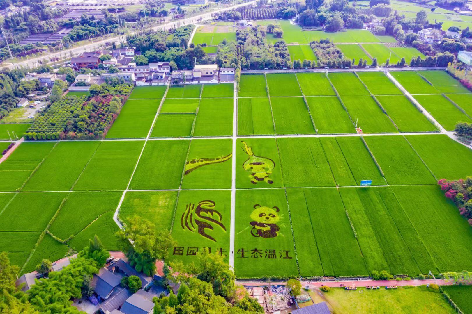 平畴沃野。图by张志强