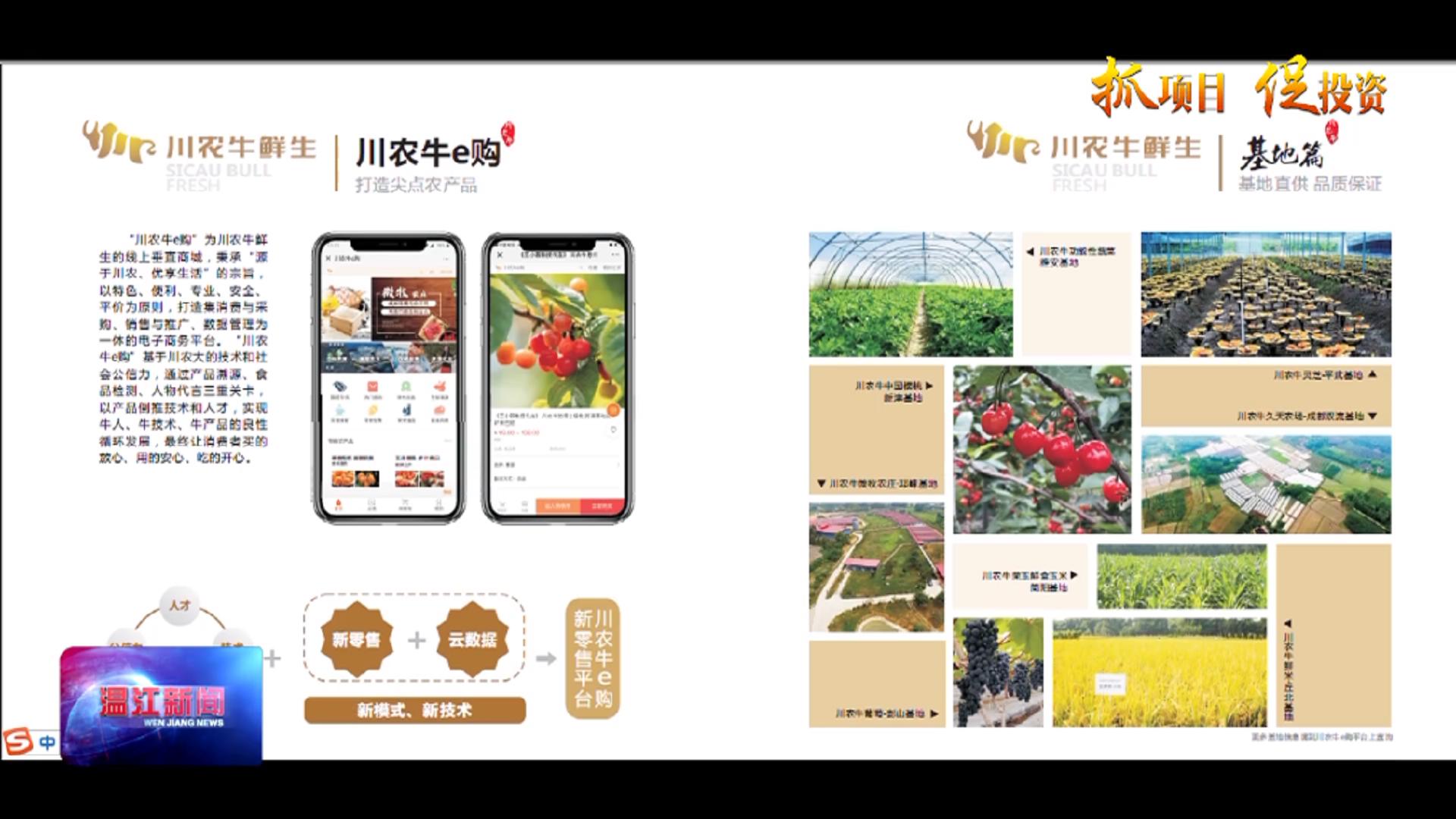 成都都市现代农业产研院：平台聚合资源 科创赋能产业