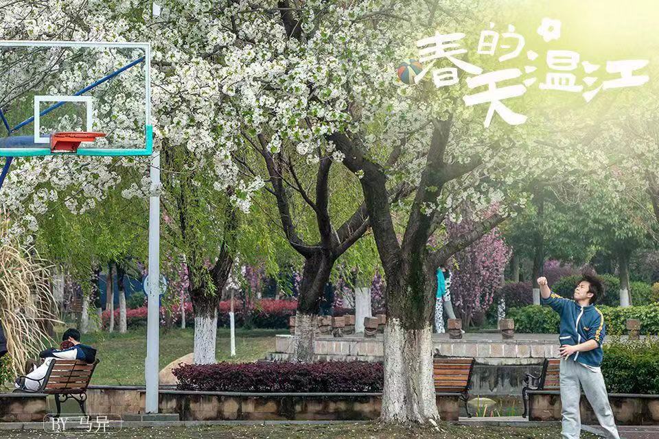 投稿至邮箱wenjiang20212021@163.com（提交参赛作品备注姓名、电话和拍摄地点），活动截至4月6日。