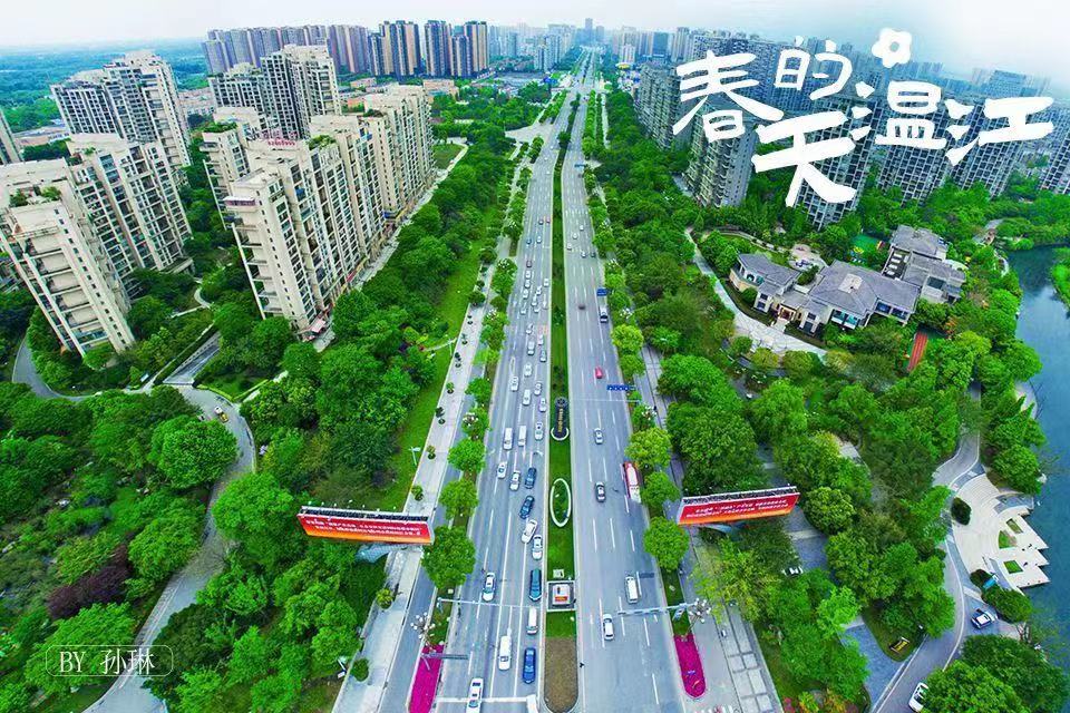 都不如温江的阳光和鲜花来得直白