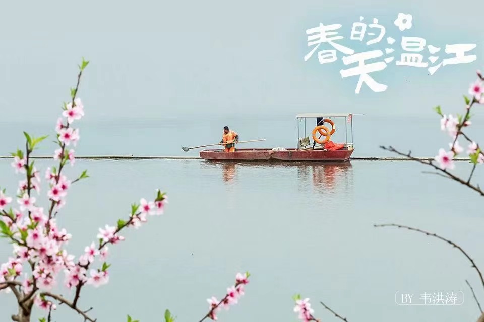 春来万事新