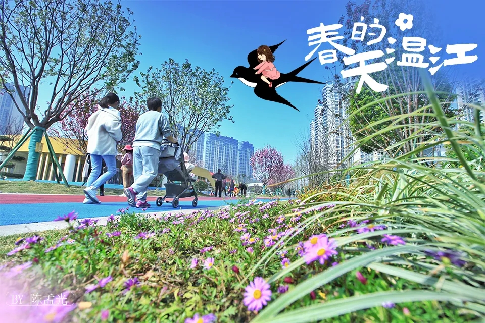 温江的春天五彩斑斓