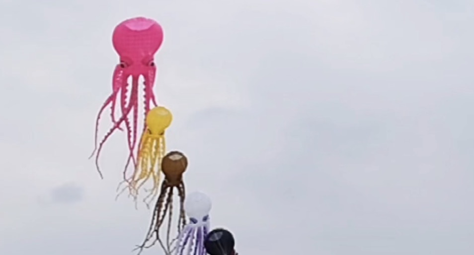 来温江邂逅“海洋世界”