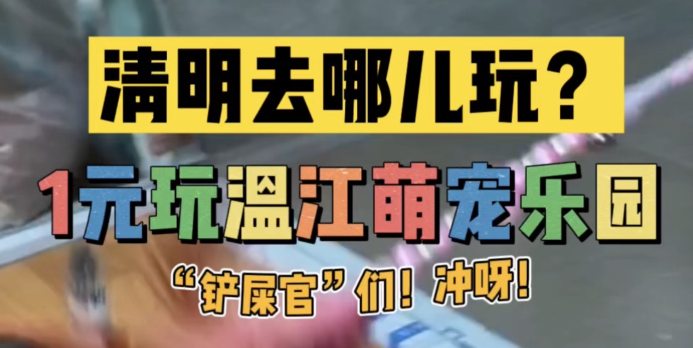 “铲屎官们”来这里集合～