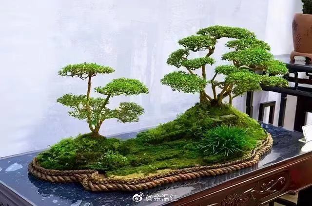 微信图片_20210408201055.jpg