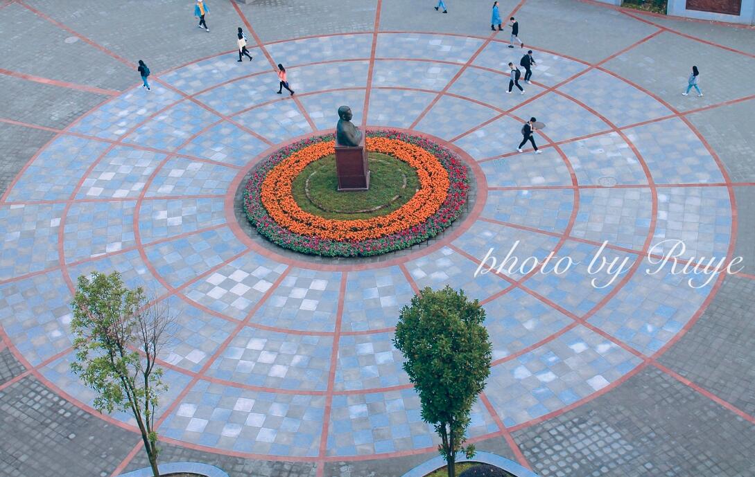 走在校园路上，感受书香围绕的氛围