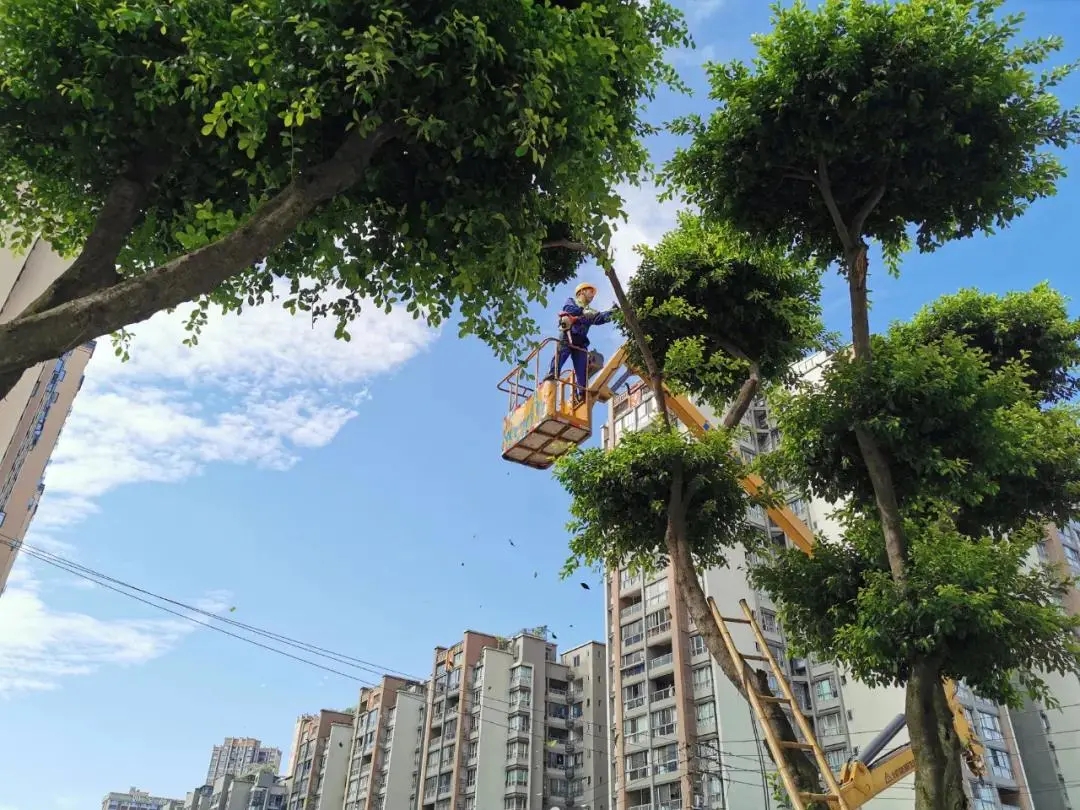 《少年》温江城管版手势舞来咯！一起学起来！