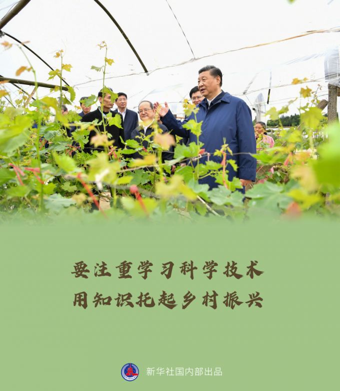 习近平赴广西考察调研金句来了！