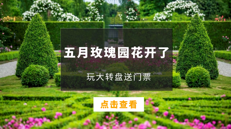 玩转盘赢五月玫瑰园门票啦！
