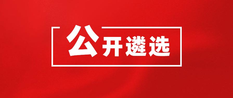 四川省直机关今年公开遴选、选调94人，计分方式等有变！