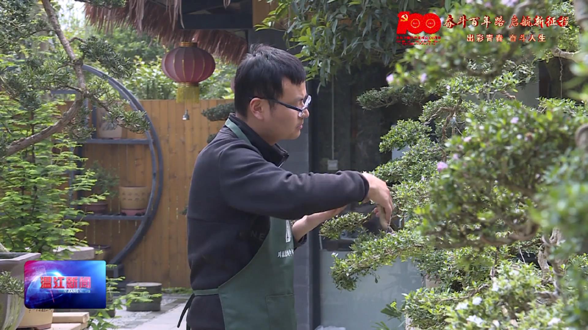 出彩青春 奋斗人生——陈宏宇：以匠心传承川派盆景技艺