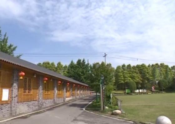 王道明在调研督导省督转办件推进情况时强调：科学施策精准发力 抓实抓好问题整改