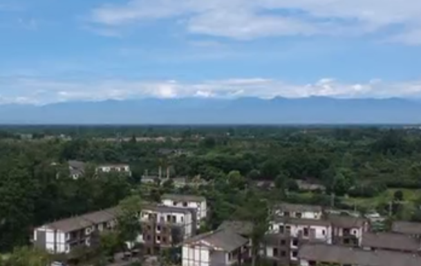 成都市温江区生态环境保护委员会第一次全体会议暨迎接四川省生态环保督察工作部署会召开