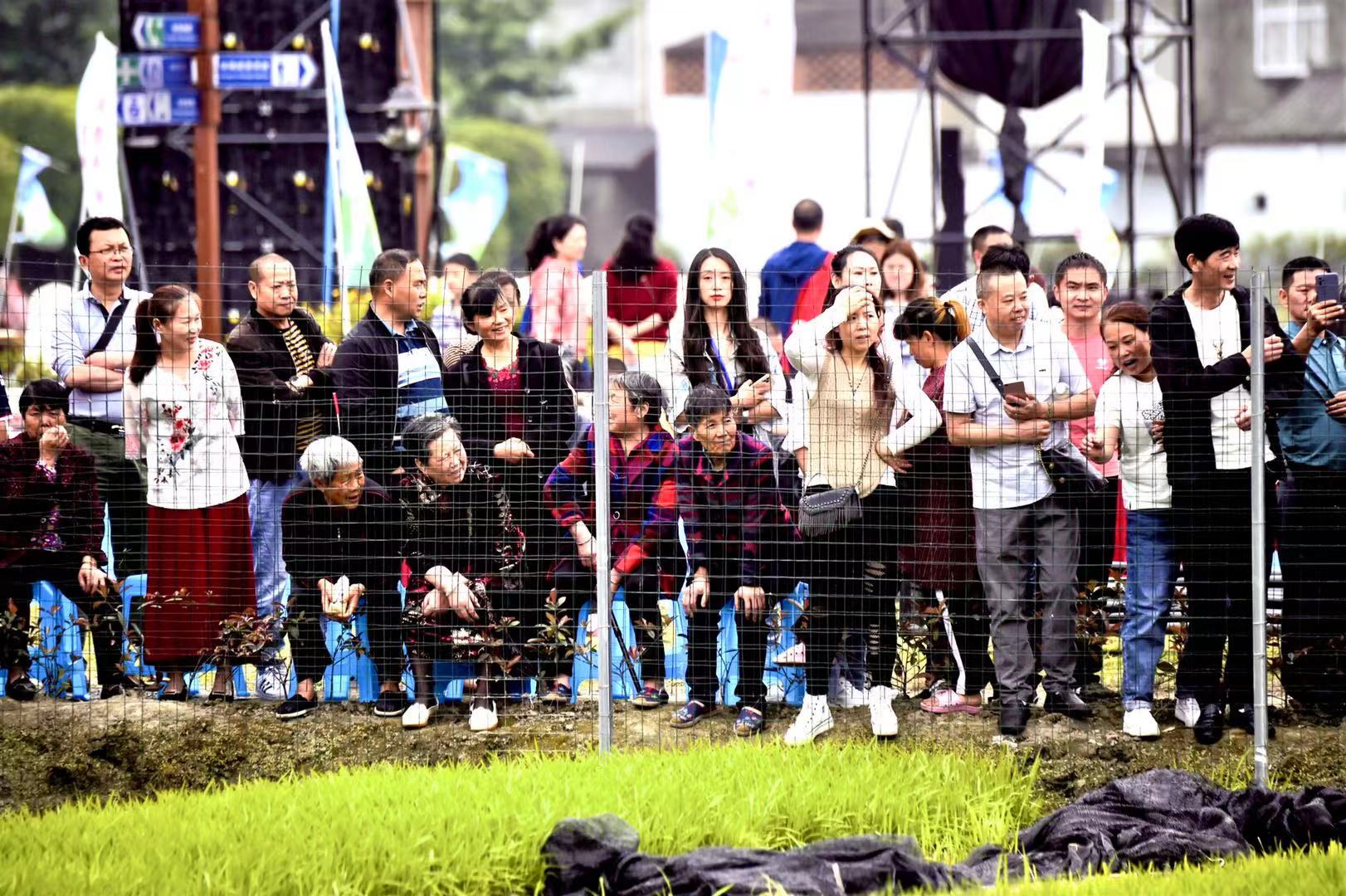 现场祭祀仪式、文艺表演等田间活动丰富多彩。图据梁波