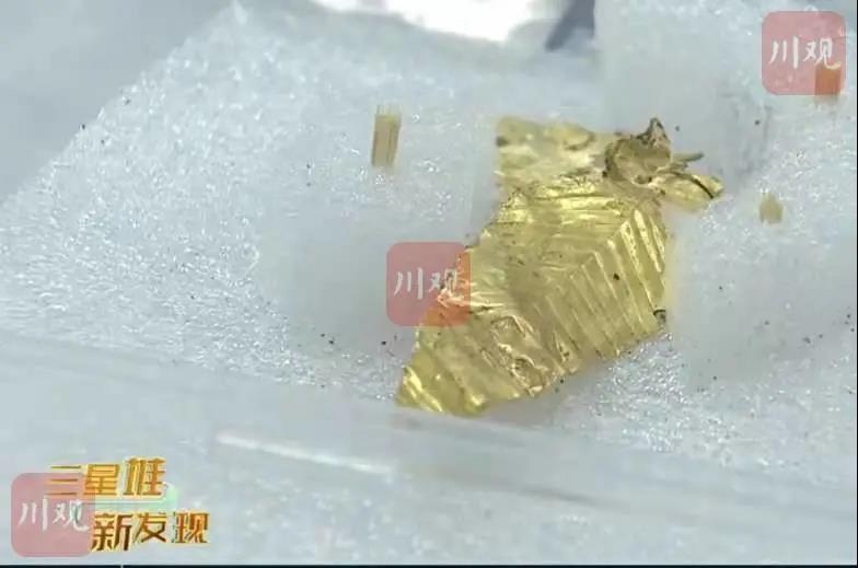 最大圆领玉璧、金树叶……三星堆又上新！
