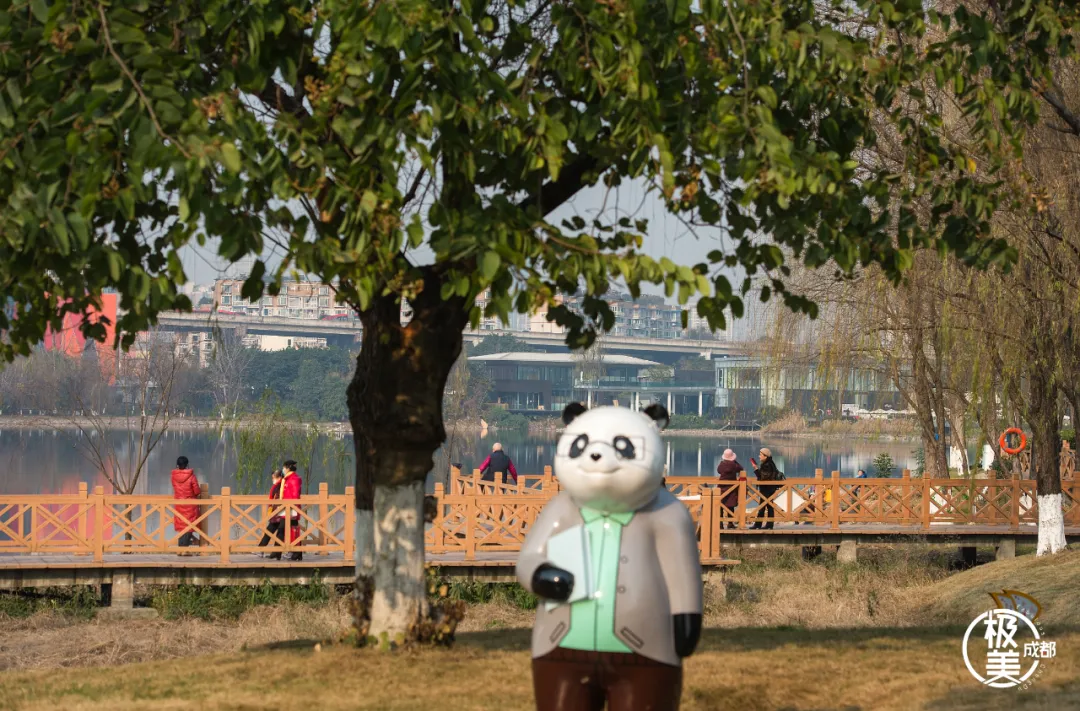 市委理论学习中心组专题学习党的十八大以来的历史！范锐平：加快打造“人民城市”的幸福样本，朝着共同富裕不断迈进