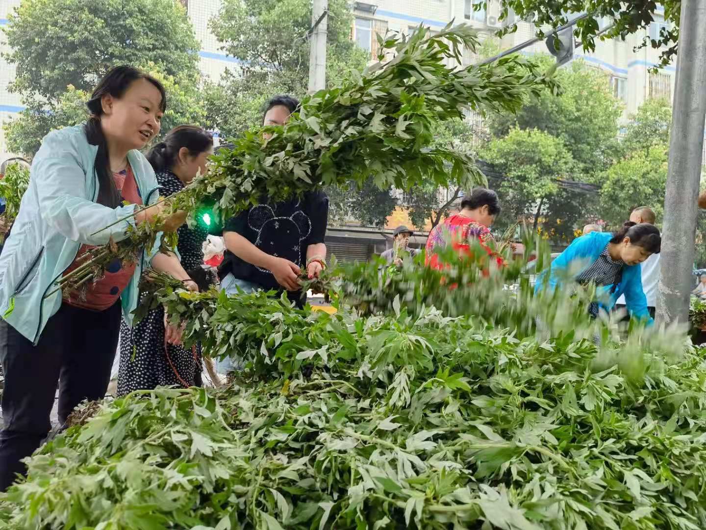 佳节人倍忙~图源 郭鉴