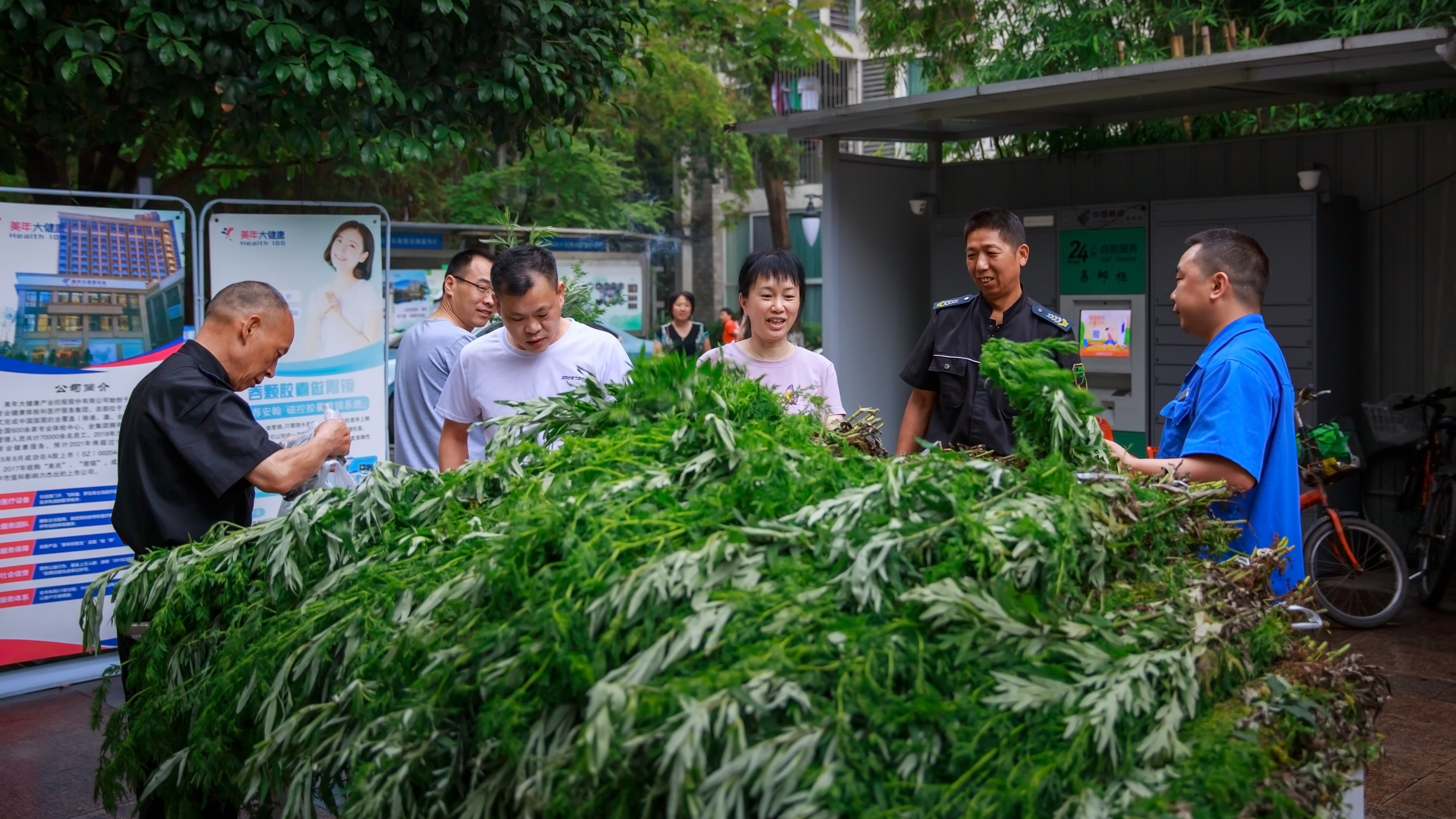 又是端午时~图源  陈加礼