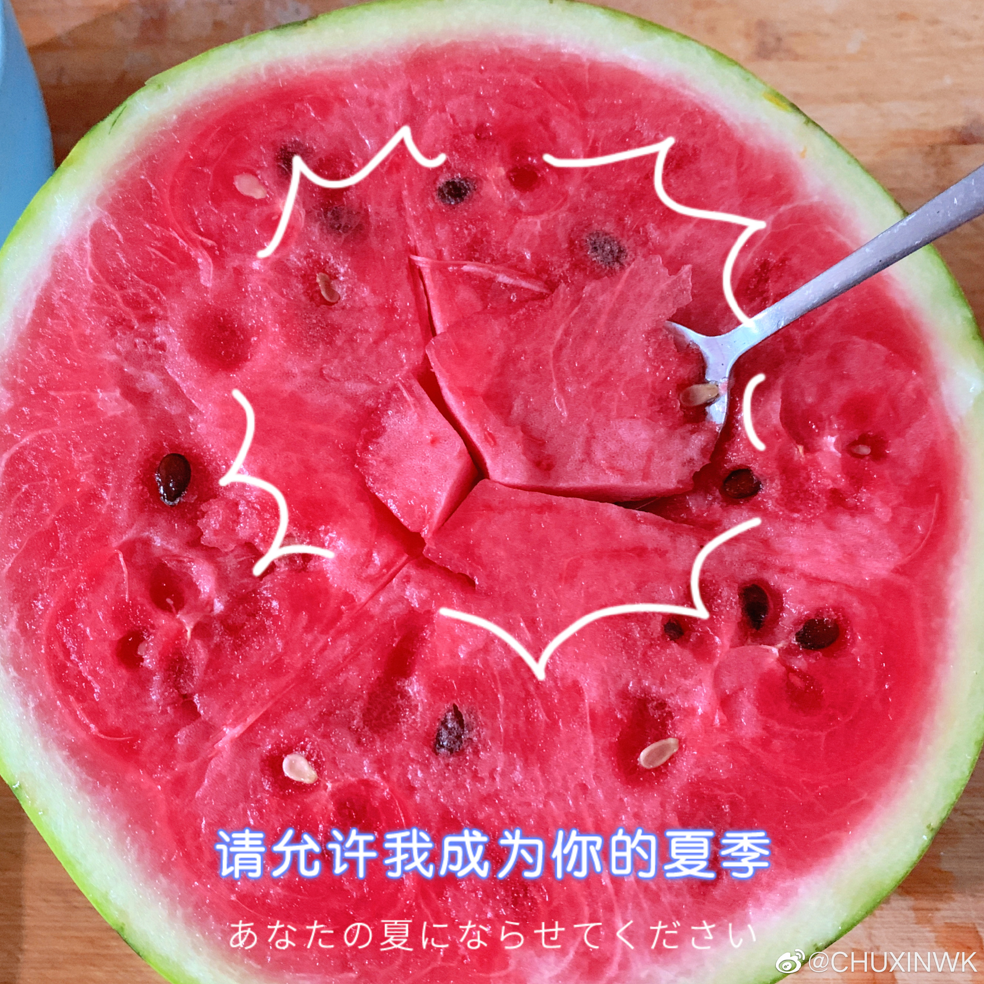 无西瓜不夏天~金温江晒西瓜大赛来了！