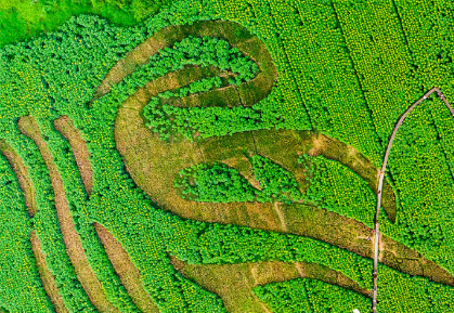 每日一图·2021年7月30日