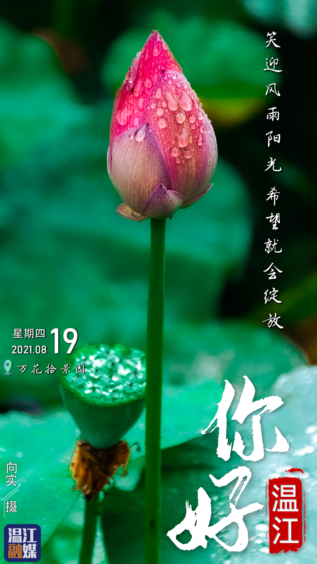 这里是温江·2021年8月19日