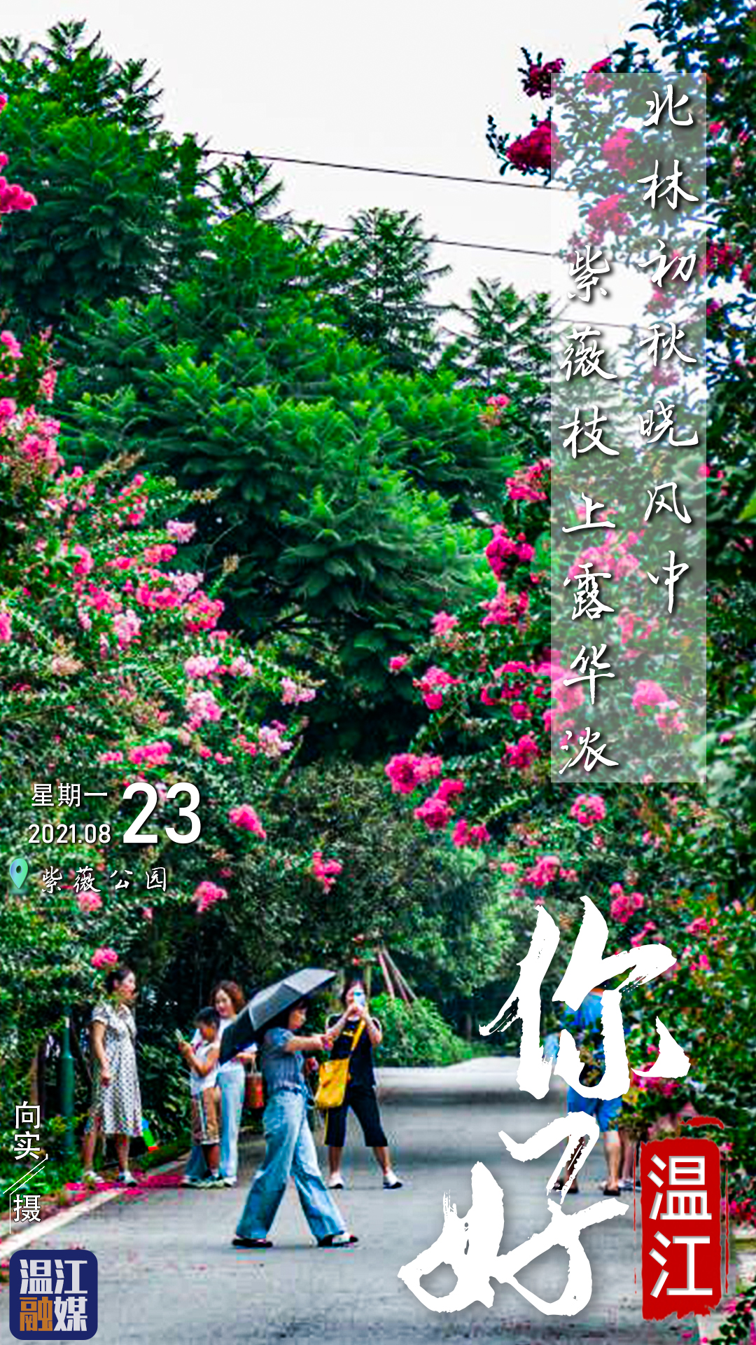 这里是温江·2021年8月23日